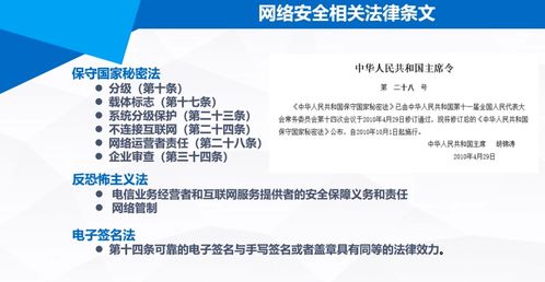 國(guó)家網(wǎng)絡(luò)信息安全 第一章 網(wǎng)絡(luò)與信息安全軟件開(kāi)發(fā)